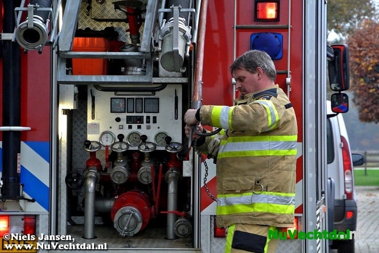 Brandweer Dalfsen haalt poes uit boom - Foto: Niels Jansen