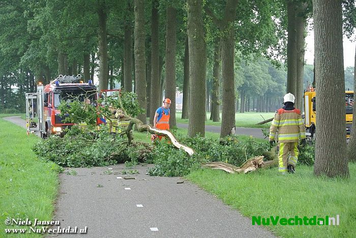 Grote tak afgeknapt boven fietspad Rechterensedijk Dalfsen - Foto: Niels Jansen