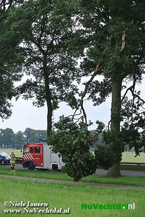 Grote tak afgeknapt boven fietspad Rechterensedijk Dalfsen - Foto: Niels Jansen