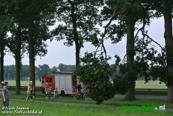 Grote tak afgeknapt boven fietspad Rechterensedijk Dalfsen - Foto: Niels Jansen