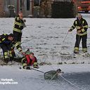 Meeuw vast op het ijs aan de Jan Tooropstraat in Ommen