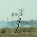 Brandweer Dalfsen naar Staphorst voor veenbrand