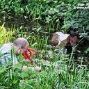 Brandweer rukt uit voor pony te water in Ommen